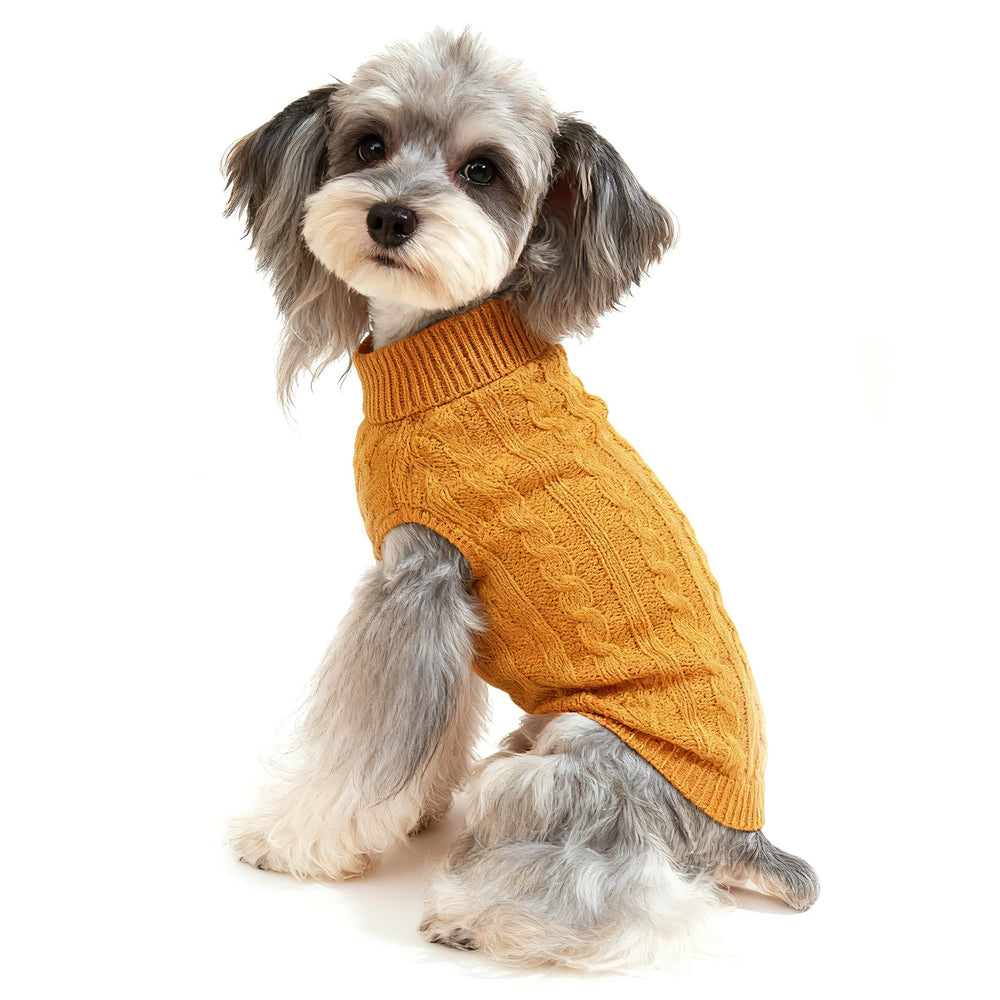 Sudadera para perro Bwealthest, vista frontal con cuello alto para calidez.