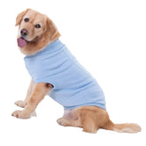 Suéter Bwealthest para perro con cuello alto, ideal para paseos en frío.