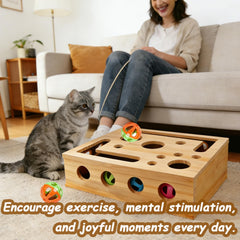Caja educativa para gatos hecha de madera sólida para uso diario