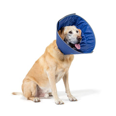 Calm Paws collar-cuidado-xl-confort ofrece comodidad durante la recuperación.
