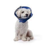 Collar Calm Paws para perros, vista frontal, cómodo y duradero para el día a día