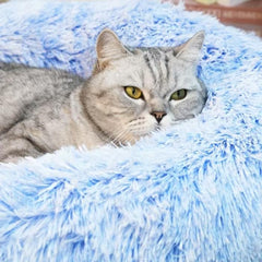 Cama para gatos: bordes elevados ofrecen soporte para la cabeza.
