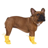 Canada Pooch botas impermeables con velcro protegen patas en lluvia.