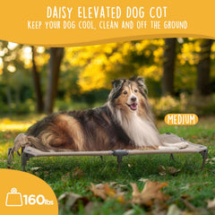 CANINE CANYON Daisy Cot diseño plegable compacto para viajes