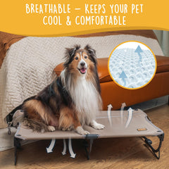 CANINE CANYON Daisy Cot sin necesidad de ensamblaje para comodidad rápida
