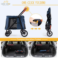 Canine Canyon Scout plegado con un clic para facilitar el transporte