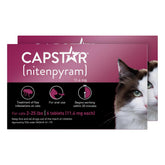 Capstar para gatos: empaque de caja, solución rápida para pulgas.