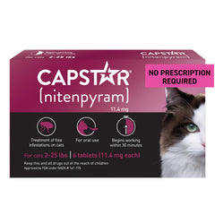 Capstar gato tableta frente: acción rápida contra pulgas.
