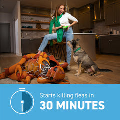 Capstar: tratamiento sin receta para perros de 2 a 25 libras.
