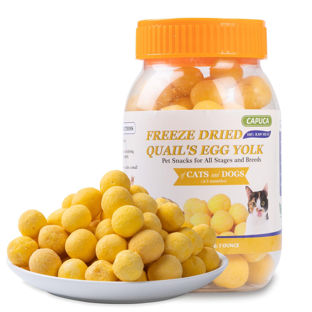 Capuca yema de codorniz seca para cachorro: premio sabroso y fácil de repartir.