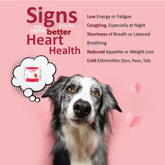 Cardiomax L-taurina para el corazón del perro y función cardíaca