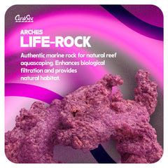 Carib Sea Life Rock Arches: cavernas-acuario ofrecen refugio a invertebrados y corales