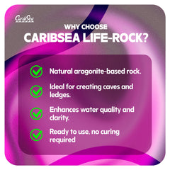 Carib Sea Life Rock Arches: arcos-de-aragonita porosa favorecen crecimiento de corales