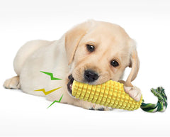 Carllg Juguete apto para cachorros y perros adultos para juego prolongado.