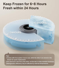 Casfuy alimentador automático para gatos con 4 packs de hielo para frescura.