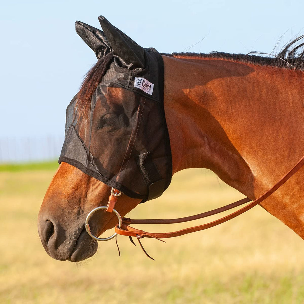 Cashel mascarilla anti moscas con orejas negra para caballos, protección ligera.