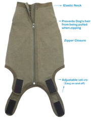 Caslfuca ofrece alternativa sin collar, cuello en cono para mayor comodidad.