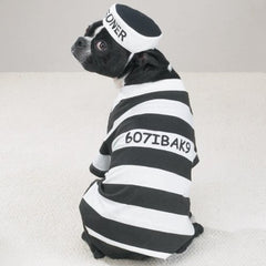 Disfraz prisionero de Casual Canine con gorra elástica para ajuste cómodo.