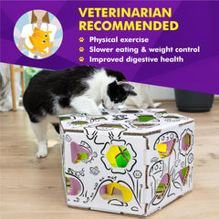 Cat Amazing HEX: múltiples zonas de recompensa para aprendizaje lúdico.