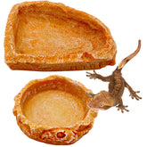 CATENEED cuenco para reptiles con textura de roca, vista frontal