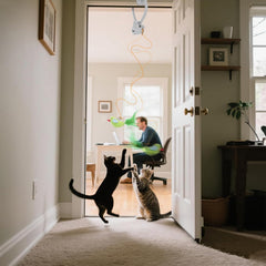 CATPICK ratón juguete para gatos que fomenta caza y movimiento.