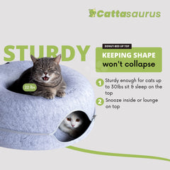 Cattasaurus Peekaboo: ventana de observación favorece interacción suave.