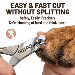 Cattio utilizado en entornos profesionales como hospitales veterinarios.