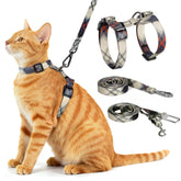 Cattooll arnés-collar-3-en-1-prueba-de-escapabilidad, ideal para paseos seguros.