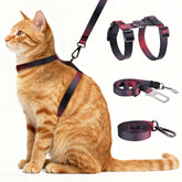 Cattooll arnés gatos anti fuga para paseos seguros y controlados.