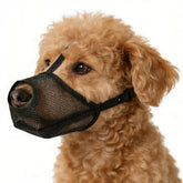 Cattooll bozal perro tejido aireado facilita respiracion y comodidad