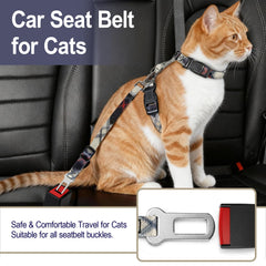 Cattooll hebilla-abs-ajuste-facil, ponlo y quítalo sin esfuerzo.