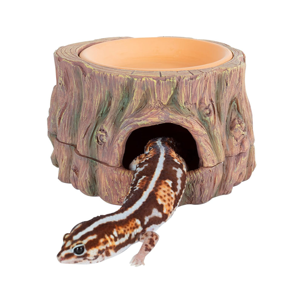 CAVACHEW cueva oculta árbol: refugio seguro para reptiles, ideal para descanso y exploración.