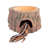 CAVACHEW cueva oculta árbol: refugio seguro para reptiles, ideal para descanso y exploración.