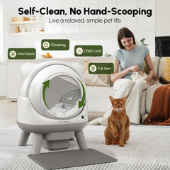 Aplicación de Cavrtbany muestra control y monitoreo de salud felina en tiempo real