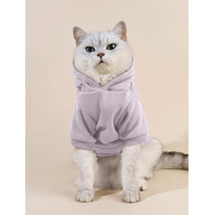 Cayxatiu estampa pequena-con-actitud en gato para estilos divertidos.