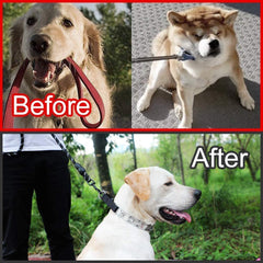 Collar de púas CBBPET, resistente y seguro para uso diario.