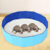 Piscina para perros portátil y plegable de Cdycam, útil para refrescar al aire libre.