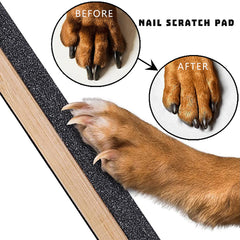 Cdycam tabla rascar-uñas para perros, vista lateral, acabado negro, uso seguro y cómodo.