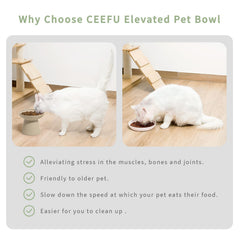 Diseno amigable para bigotes de CEEFU, mejora la experiencia de comer