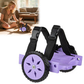 CeoNic silla-ruedas conejo, ajuste personalizado para patas traseras, soporte cómodo.