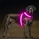Arnés ChalkLit iluminado para perros mejora la visibilidad nocturna en paseos.