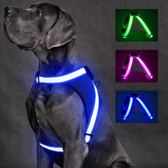 ChalkLit Arnés LED para perro: visualización nocturna para paseos más seguros.
