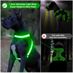 ChalkLit arnés para perro abrochado rápido, fácil de poner y ajustar.