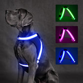 ChalkLit arnés iluminado para perro en la noche, mayor visibilidad.