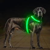 ChalkLit arnés perro led verde xl, alta visibilidad para caminatas nocturnas.