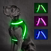 Arnés ChalkLit con luz visible para paseos nocturnos.