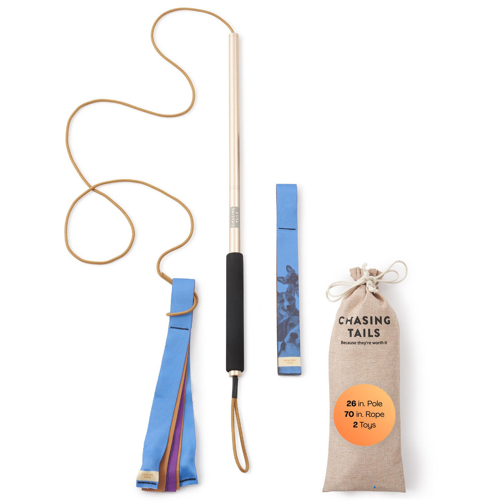 Chasing Tails Flirt Pole de 26 pulgadas para ejercicio en casa para perros pequeños