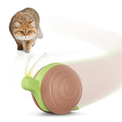 Cheerble Wicked Snail con luces brillantes para estimular el juego en interiores.