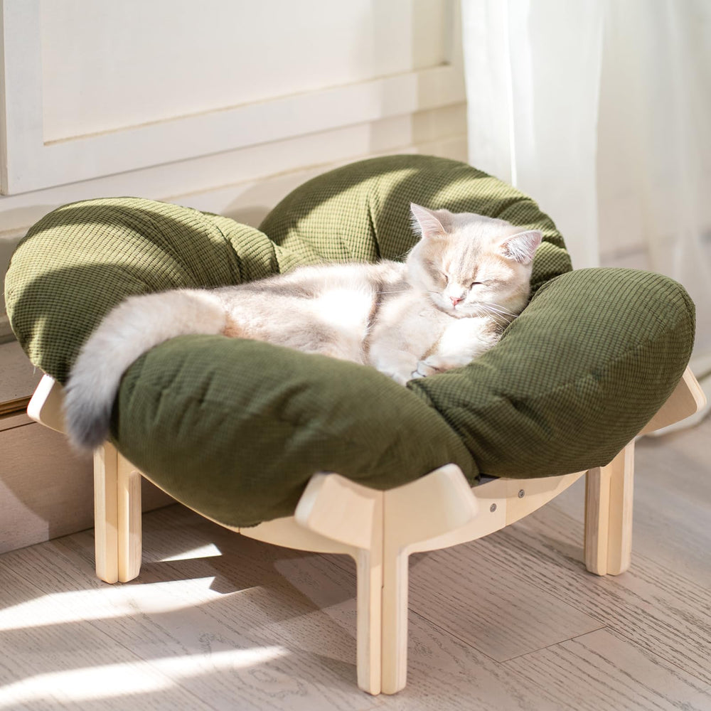Cama elevada CHEERHOME PETS para gato con base de madera y cojín cómodo.