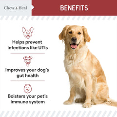 Chew + Heal Labs: D-mannosa para posible reducción de colonización bacteriana en la vejiga